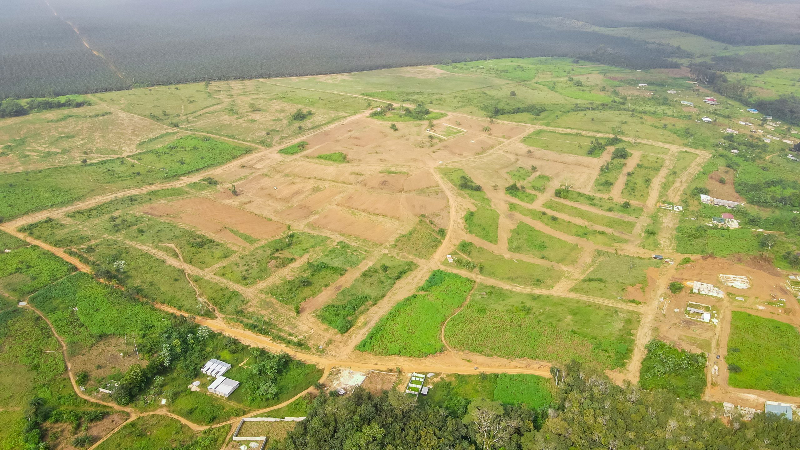 Agriculture Songon
