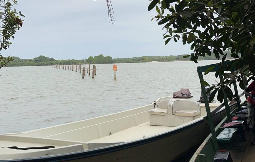 Îles Éhotilé (excursion)
